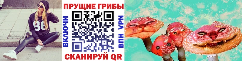 Псилоцибиновые грибы MAGIC MUSHROOMS  купить наркотики цена  Канаш 